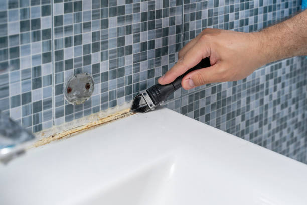 Best Mold Remediation for Schools in Lucas, TX