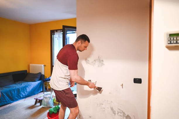 Best Post-Flood Mold Remediation in Lucas, TX